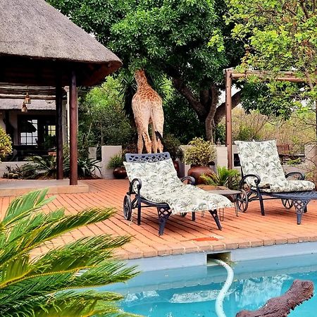 Graceland Eco Retreat Magoebaskloof Esterno foto