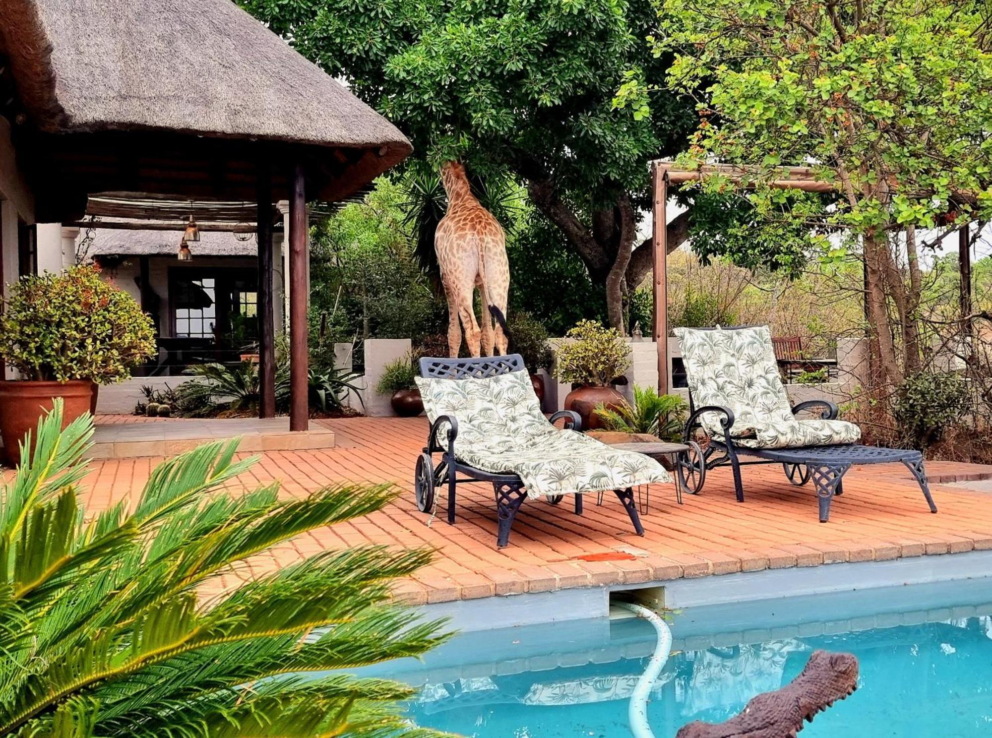 Graceland Eco Retreat Magoebaskloof Esterno foto
